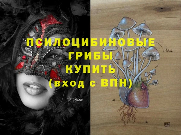 2c-b Алексин