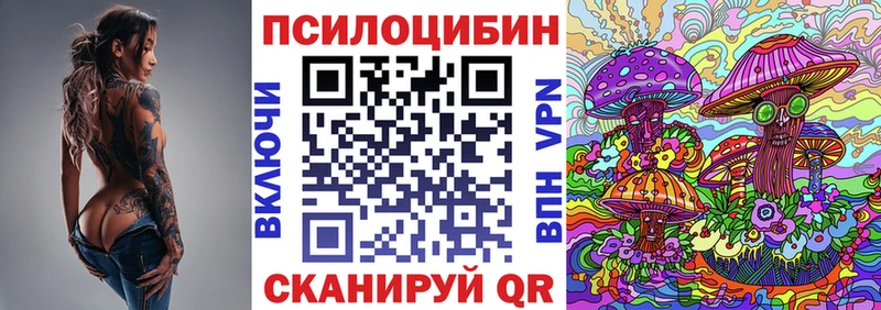 Псилоцибиновые грибы Psilocybe  Стародуб 
